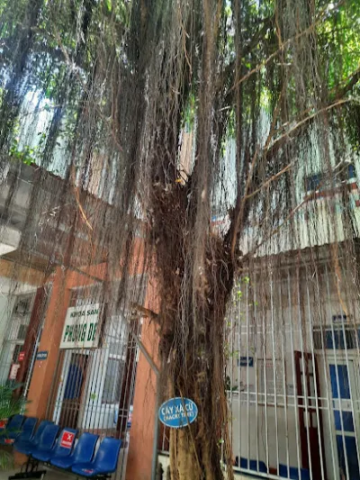 phân bón kỷ hương - nhà cung cấp phân bón