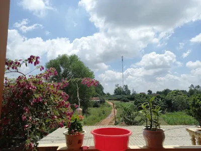 phân bón sơn nghĩa - nhà cung cấp phân bón