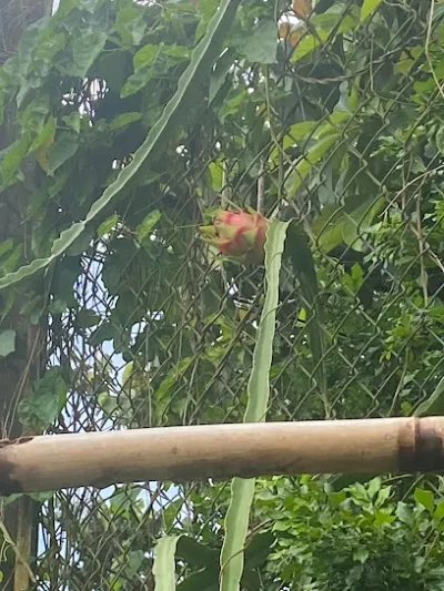 phân bón tuyết vân - nhà cung cấp phân bón