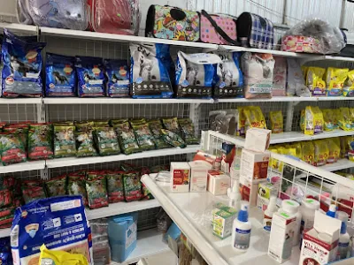 phòng khám thú cưng kiến đức - one pet clinic - bác sĩ thú y