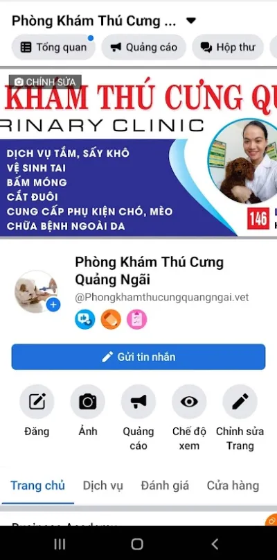 phòng khám thú cưng quảng ngãi - bệnh viện thú y