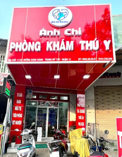 phòng khám thú y ánh chi - dịch vụ cấp cứu thú y