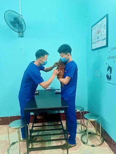 phòng khám thú y doraemonpet - bác sĩ thú y