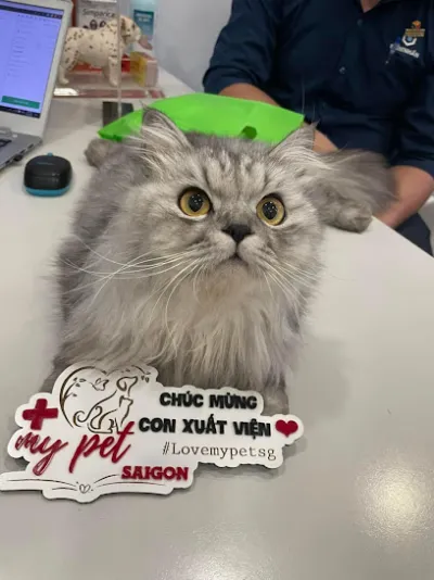 phòng khám thú y my pet sài gòn - bệnh viện thú y