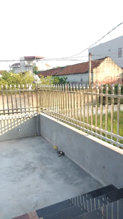 phòng khám thú y ninh bình - bác sĩ thú y