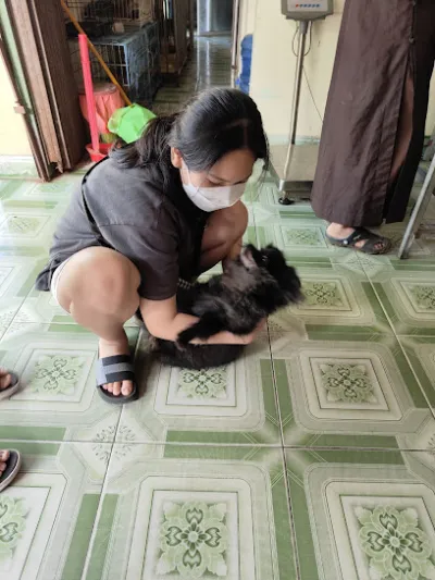 phòng khám thú y quảng ngãi my pet - bệnh viện thú y