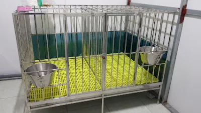 phòng khám thú y thắng phương- thái bình - bac si thu y