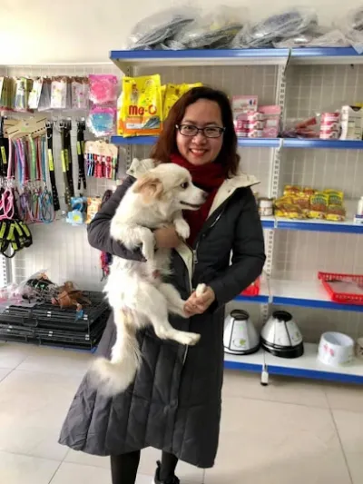 phòng khám thú y vincent pet hải dương - bệnh viện thú y