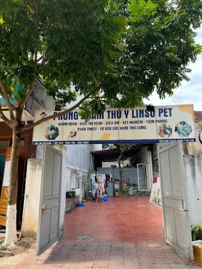 phòng khám thú y vĩnh yên - linso pet - bệnh viện thú y