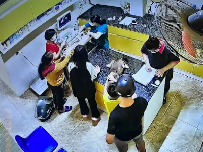 phòng khám thú y vnpet gang thép - dịch vụ chăm sóc thú nuôi