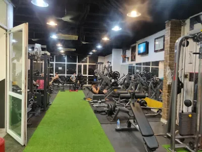 phòng tập gym hòa bình - phòng tập thể dục