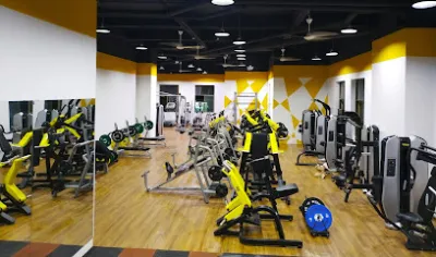 phòng tập new fitness & yoga - câu lạc bộ thể dục phòng tập new fitness & yoga - câu lạc bộ thể dục