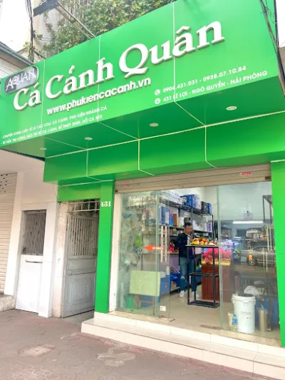 phụ kiện cá cảnh hải phòng- cá cảnh quân - cửa hàng cá cảnh