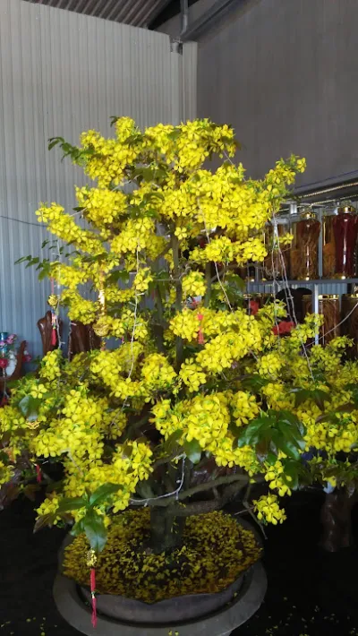 phụ tùng ôtô thành lăng - cửa hàng bảo trì và sửa chữ ô tô