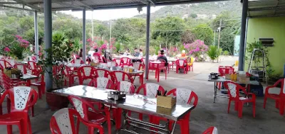 quán ăn vườn nho hòn 1 quán - quán ăn tự phục vụ