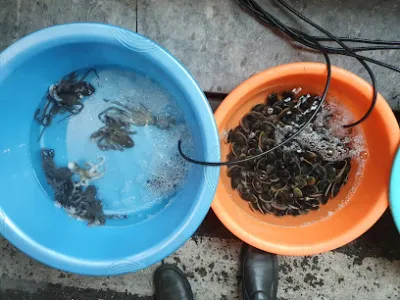 quán cơm diệu huy - quán ăn nhỏ