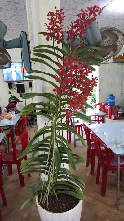 quán cơm hà nội - nhà hàng