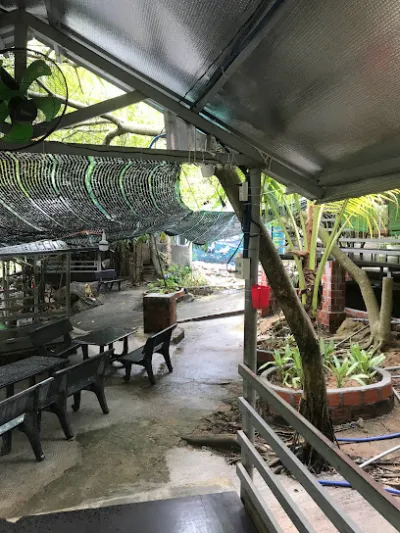 quán gà bảy sơn - nhà hàng phục vụ bữa trưa