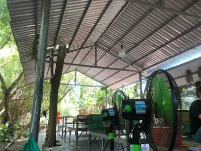 quán gà chỉ đông nam - nhà hàng thịt gà