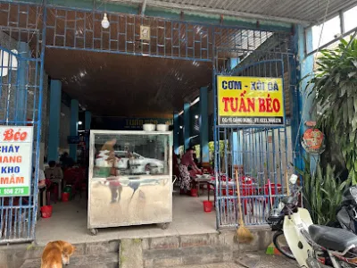 quán gà chỉ tuấn béo - nhà hàng