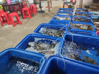 quán gió biển - nhà hàng hải sản