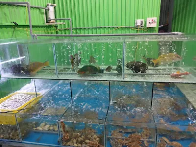 quán hải sản bạn thằng bờm - nhà hàng hải sản