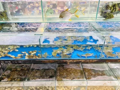 quán hải sản đức huy 2 - nhà hàng hải sản