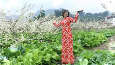 quán lòng lợn - nhà hàng gia đình