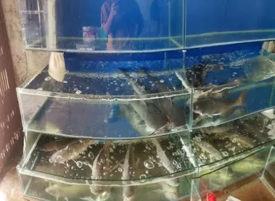 quán ngọc - món ngon, quả sạch - nhà hàng gia đình