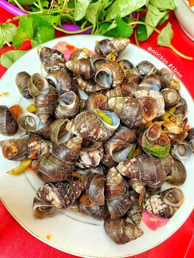 quán ốc bà thanh b6 cũ nay chuyển về cầu cửa tiền 2 - nhà hàng