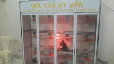 quảng cáo ninh thuận - văn phòng công ty quảng cáo ninh thuận - văn phòng công ty