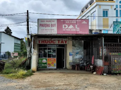 quầy thuốc phượng quý - hiệu thuốc