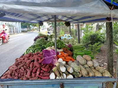 rau củ quả đà lạt an