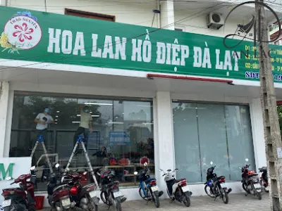 rèm thái bình - an lạc - cửa hàng rèm và màn trập