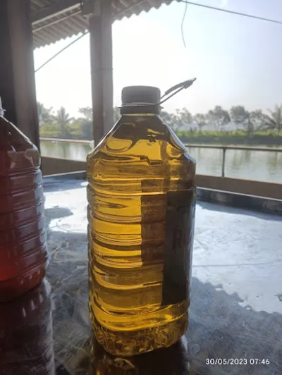 rượu hải nam - cửa hàng rượu