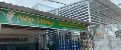 rượu nếp vàng - sỉ lẻ rượu nếp, gạo - cửa hàng rượu