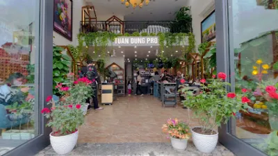 salon tóc tuấn dũng pro - 293 nguyễn văn cừ - hiệu làm tóc