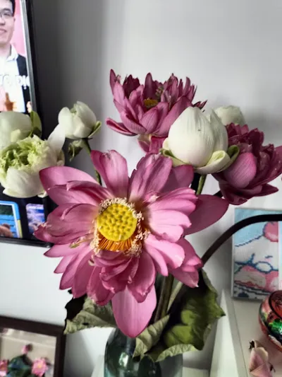 salon toni việt 48 hàng thao - hiệu làm tóc