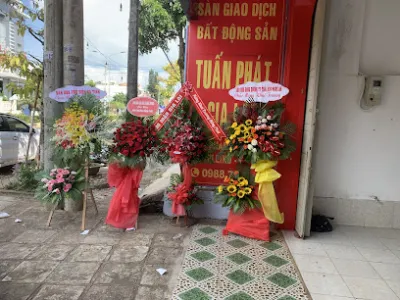 sàn giao dịch bất động sản tuấn phát gia lai - đại lý giao dịch bất động sản