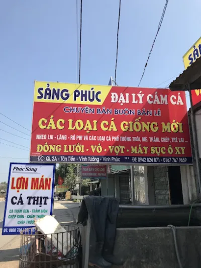 sảng phúc đại lý cá giống số 1 - cửa hàng cá nhiệt đới