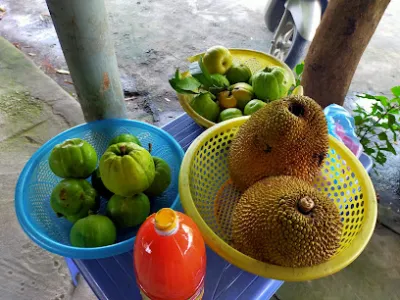 sạp cá nướng bảy hằng - gian hàng rong