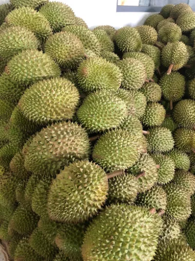 sầu riêng út hoàng ( vựa trái cây út hoàng ) - cửa hàng bán buôn trái cây