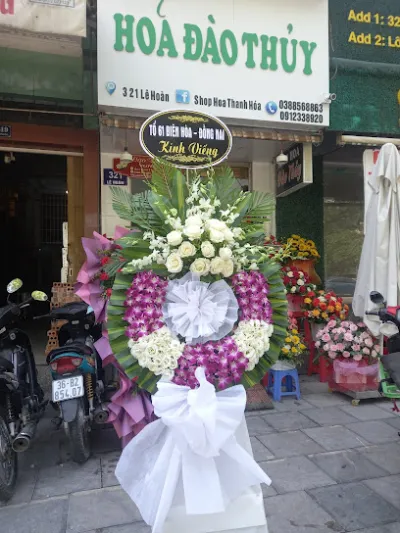 shop hoa đào thủy - cửa hàng hoa