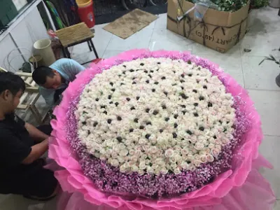 shop hoa hồng nhung - cửa hàng hoa