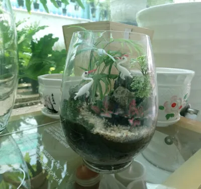 shop hoa kiểng thủy mộc - cửa hàng bán buôn cây cảnh