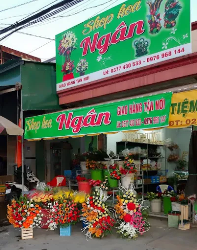 shop hoa ngân - cửa hàng hoa shop hoa ngân - cửa hàng hoa