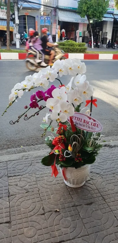 shop hoa tươi ánh quang - cửa hàng hoa