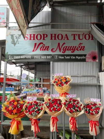 shop hoa tươi biên hòa, tân biên, tân hòa, trảng dài, trảng bom, tp biên hòa - vân nguyễn - cửa hàng hoa
