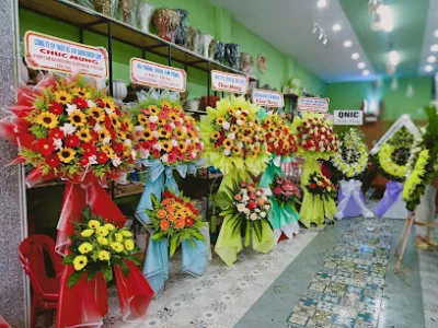 shop hoa tươi tố quyên - cửa hàng hoa