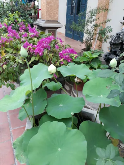 shop quần áo - cửa hàng quần áo